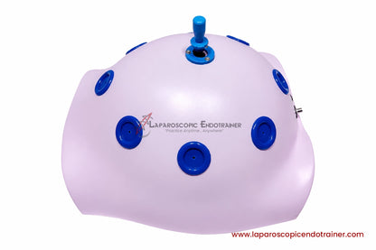 Laparoscopic Pink Abdomen Shape | 360° Degree Fix HD Camera | 5 Reusable Instruments | TV & Laptop Connection