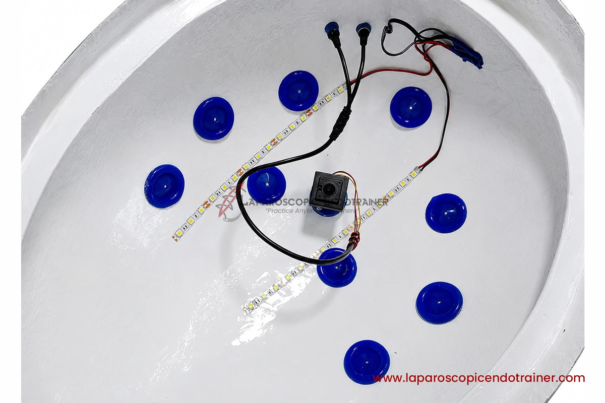Laparoscopic Oval Egg Anda Shape | 360° Degree Fix HD Camera | 5 Reusable Instruments | TV Connection