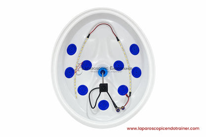 Laparoscopic Oval Egg Anda Shape | 360° Degree Detachable Camera | Zoom-In Zoom-Out Function | 5 Reusable Instruments |  TV, Laptop, Mobile & HDMI Connection