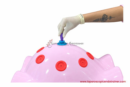 Laparoscopic Full Body Shape | 360° Degree Detachable Camera | Zoom-In Zoom-Out Function | 5 Reusable Instruments | TV , Laptop , Mobile & HDMI Connection