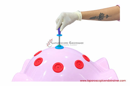 Laparoscopic Full Body Shape | 360° Degree Detachable Camera | Zoom-In Zoom-Out Function | 5 Reusable Instruments | TV Connection