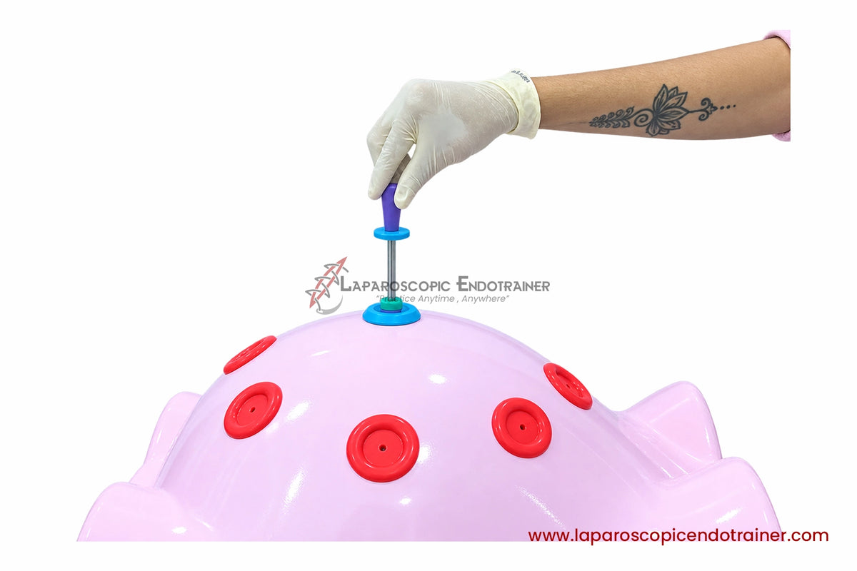 Laparoscopic Full Body Shape | 360° Degree Detachable Camera | Zoom-In Zoom-Out Function | 5 Reusable Instruments | TV , Laptop Connection
