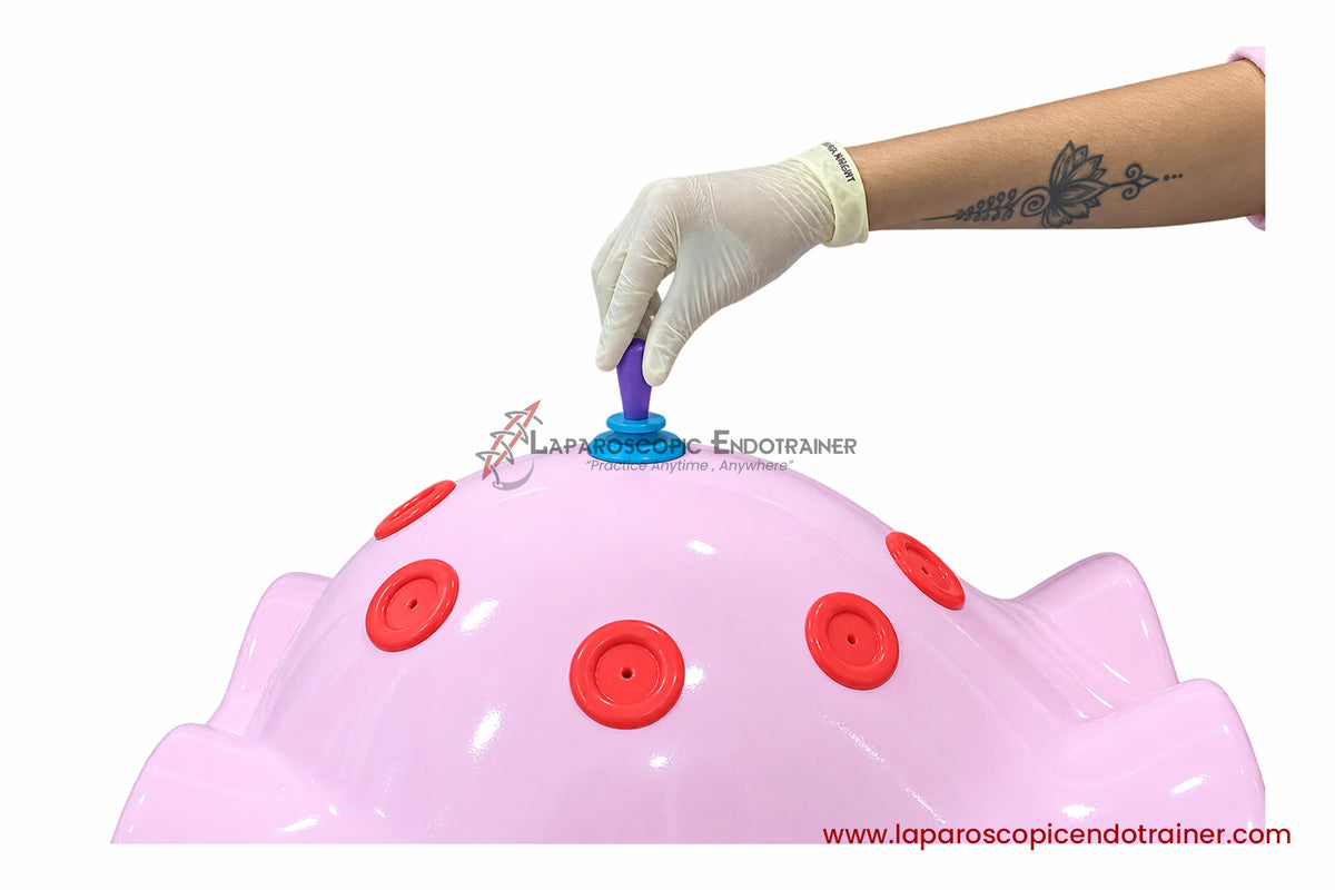 Laparoscopic Full Body Shape | 360° Degree Detachable Camera | Zoom-In Zoom-Out Function | 5 Reusable Instruments | TV Connection