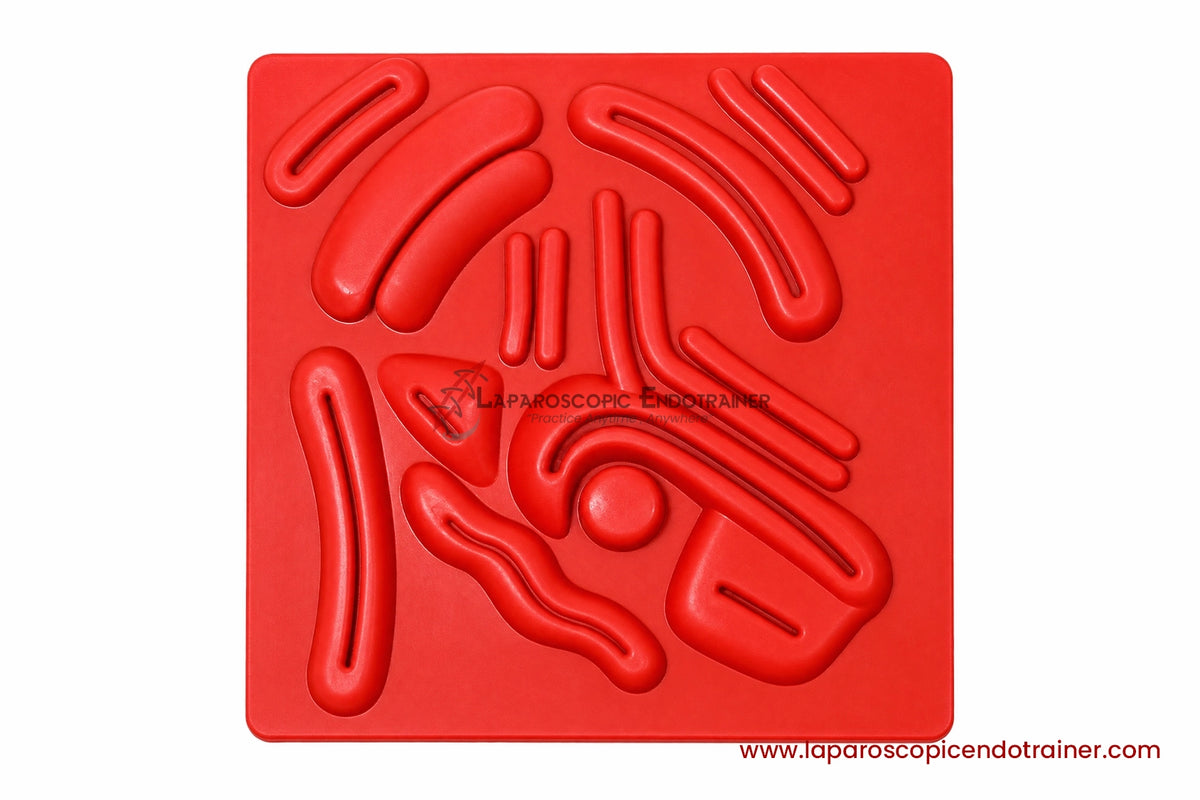 Laparoscopic Box Rectangle Shape | 360° Degree Fix HD Camera | 5 Reusable Instruments | TV Connection